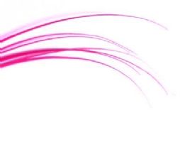 Fuchsia Pink Quill Feather
